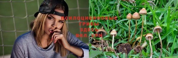 мдпв Арсеньев